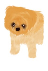 Rating: Safe Score: 0 Tags: 2012 ambiguous_gender brown_body brown_fur canid canine e621 feral fur hair looking_at_viewer mammal nukikrueger simple_background solo young young_feral User: bunchy7s Rating: Safe Score: 0 Tags: 2012 ambiguous_gender brown_body brown_fur canid canine e621 feral fur hair looking_at_viewer mammal nukikrueger simple_background solo young young_feral User: bunchy7s