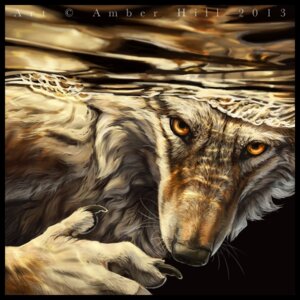 Rating: Safe Score: 0 Tags: 1:1 2013 amber_eyes amber_hill ambiguous_gender anthro canid canine canis claws e621 looking_at_viewer mammal partially_submerged solo swimming water whiskers wolf User: bunchy7s Rating: Safe Score: 0 Tags: 1:1 2013 amber_eyes amber_hill ambiguous_gender anthro canid canine canis claws e621 looking_at_viewer mammal partially_submerged solo swimming water whiskers wolf User: bunchy7s