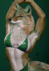 Rating: Safe Score: 0 Tags: anthro bikini canid canine canis clothed clothing coyote e621 female iisaw low_res mammal muscular muscular_anthro muscular_female photorealism realistic shopped skimpy solo swimwear third-party_edit two-piece_swimsuit User: bunchy7s Rating: Safe Score: 0 Tags: anthro bikini canid canine canis clothed clothing coyote e621 female iisaw low_res mammal muscular muscular_anthro muscular_female photorealism realistic shopped skimpy solo swimwear third-party_edit two-piece_swimsuit User: bunchy7s