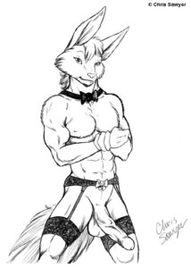 Rating: Explicit Score: 0 Tags: 2006 abs anthro artist_name balls big_penis biped black_and_white bow_(feature) bow_tie canid canine chris_sawyer digital_drawing_(artwork) digital_media_(artwork) e621 erection fox front_view genitals line_art long_penis looking_at_viewer male mammal monochrome muscular muscular_anthro muscular_male nude pecs penis portrait pose signature simple_background solo standing tail text three-quarter_portrait white_background User: bunchy7s