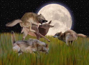 Rating: Explicit Score: 0 Tags: anatomically_correct animal_genitalia backsack balls canid canine canis climbing_on deer detailed_background doggystyle e621 ebon_lupus female female_penetrated feral feral_on_feral feral_penetrated feral_penetrating feral_penetrating_feral forced from_behind_position full_moon genitals group interspecies lipsticking looking_at_another looking_at_partner looking_back male male/female male_penetrating mammal moon night northwestern_wolf open_mouth outside penetration penis penis_tip perching_position predator/prey quadruped raised_leg rape rounded_back sex sheath sky star starry_sky tail teats vaginal vaginal_penetration wolf User: bunchy7s