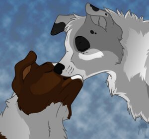 Rating: Safe Score: 0 Tags: 2012 ambiguous_gender australian_shepherd border_collie canid canine canis cel_shading collie domestic_dog duo e621 eyes_closed faithandfreedom feral herding_dog kissing mammal pastoral_dog shaded sheepdog simple_background User: bunchy7s