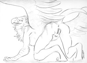 Rating: Explicit Score: 0 Tags: 2012 all_fours anthro anus avian female gryphon kaputotter mythological_avian mythological_creature mythology nude presenting pussy raised_tail rule34 sketch solo tail wings User: bunchy7s Rating: Explicit Score: 0 Tags: 2012 all_fours anthro anus avian female gryphon kaputotter mythological_avian mythological_creature mythology nude presenting pussy raised_tail rule34 sketch solo tail wings User: bunchy7s