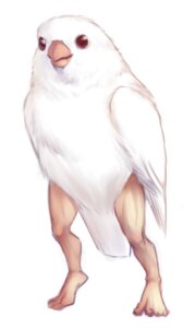 Rating: Safe Score: 0 Tags: ambiguous_gender anthro avian beak bird cursed_image e621 era_(artist) feathered_wings feathers feet full-length_portrait fur human humanoid_feet hybrid mammal nightmare_fuel plantigrade portrait simple_background solo standing what what_has_science_done white_background white_body white_feathers white_wings why wings User: bunchy7s