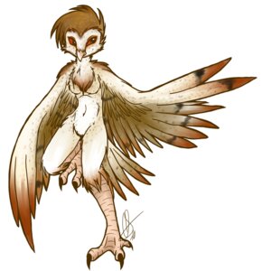 Rating: Safe Score: 0 Tags: 2010 anthro avian barn_owl beak bird blink_(artist) breasts brown_hair chest_tuft claws e621 feathered_wings feathers female fur hair non-mammal_breasts nude owl raised_leg realistic_wings simple_background solo toe_claws tuft tyto tytonid white_background wings User: bunchy7s