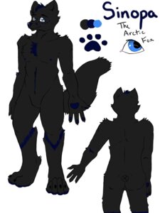Rating: Safe Score: 0 Tags: 3:4 anthro arctic_fox black_body black_fur blue_body blue_eyes blue_fur canid canine character_name color_swatch e621 english_text fox fur male mammal model_sheet sinopa_wicasa skytea solo text true_fox User: bunchy7s