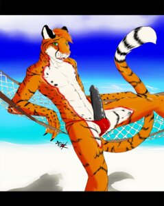 Rating: Explicit Score: 0 Tags: anthro athletic athletic_male beach bulge cheetah clothed clothing digital_media_(artwork) e621 erection felid feline fur furryskibum genitals green_eyes grey_penis hammock hybrid male mammal markings orange_body orange_fur outside pantherine penis penis_poking_out red_markings seaside seth-iova skibum skimpy solo speedo stripes swimwear tail tiger tight_clothing topless User: bunchy7s
