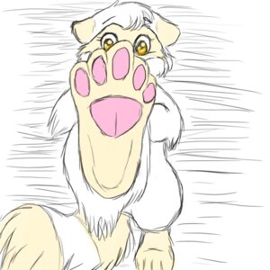 Rating: Safe Score: 0 Tags: 1:1 2008 biped dingyote e621 feet female feral fur hindpaw lying mammal nude on_back pawpads paws procyonid raccoon sachicoon_(char) solo tail white_body white_fur User: bunchy7s