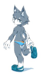 Rating: Safe Score: 0 Tags: 4_fingers adjusting_clothing anthro back_groove big_eyes biped black_nose blue_clothing blue_speedo blue_swimwear briefs butt canid canine clothed clothing crocs e621 fingers fluffy fluffy_tail footwear fur grey_body grey_fur grey_tail hi_res kemono kuroisumi looking_back male mammal multicolored_body multicolored_fur on_one_leg orange_clothing orange_speedo orange_swimwear rear_view shoes shoulder_blades simple_background skimpy slim slim_anthro slim_male snout solo speedo standing swimwear tail teal_crocs teal_eyes two_tone_body two_tone_fur two_tone_speedo two_tone_tail underwear white_background white_body white_fur white_tail young young_anthro young_male User: bunchy7s