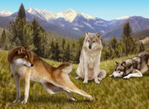 Rating: Explicit Score: 0 Tags: anatomically_correct anatomically_correct_genitalia anatomically_correct_penis animal_genitalia animal_penis balls barely_visible_balls barely_visible_genitalia black_nose blue_sky bodily_fluids brown_body brown_fur butt canid canine canine_genitalia canine_penis canis claws cum detailed_background e621 ebon_lupus female feral fur genital_fluids genitals grass grey_body grey_fur group looking_back male mammal mountain nature northwestern_wolf outside penis photorealism plant presenting presenting_hindquarters quadruped realistic sheath sky snow tail tree white_body white_fur wolf yellow_eyes User: bunchy7s Rating: Explicit Score: 0 Tags: anatomically_correct anatomically_correct_genitalia anatomically_correct_penis animal_genitalia animal_penis balls barely_visible_balls barely_visible_genitalia black_nose blue_sky bodily_fluids brown_body brown_fur butt canid canine canine_genitalia canine_penis canis claws cum detailed_background e621 ebon_lupus female feral fur genital_fluids genitals grass grey_body grey_fur group looking_back male mammal mountain nature northwestern_wolf outside penis photorealism plant presenting presenting_hindquarters quadruped realistic sheath sky snow tail tree white_body white_fur wolf yellow_eyes User: bunchy7s