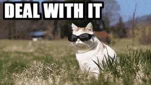 Rating: Safe Score: 0 Tags: 16:9 ambiguous_gender animated animated_gif domestic_cat e621 eyewear felid feline felis feral glasses humor low_res mammal shironekoshiro short_playtime solo unknown_artist widescreen User: bunchy7s