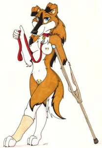 Rating: Explicit Score: 0 Tags: anthro bdever biped border_collie breasts broken_leg canid canine canis cast collar collie crutch domestic_dog e621 female full-length_portrait genitals herding_dog leash mammal marker_(artwork) medical_instrument navel nipples pastoral_dog portrait red_collar red_leash scientific_instrument sheepdog simple_background solo source_request tail traditional_media_(artwork) vulva User: bunchy7s