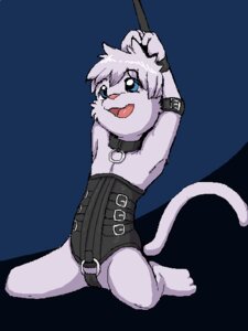 Rating: Questionable Score: 0 Tags: 3:4 anthro arkaid bdsm biped blue_eyes bondage bound breasts camel_toe clothing collar corset domestic_cat e621 felid feline felis female kneeling lingerie mammal smile solo submissive submissive_female tail topwear young young_anthro young_female User: bunchy7s Rating: Questionable Score: 0 Tags: 3:4 anthro arkaid bdsm biped blue_eyes bondage bound breasts camel_toe clothing collar corset domestic_cat e621 felid feline felis female kneeling lingerie mammal smile solo submissive submissive_female tail topwear young young_anthro young_female User: bunchy7s