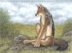 Rating: Safe Score: 0 Tags: 2007 anthro bottomwear canid canine canis claws clothing cloud dark_natasha day detailed_background e621 female fur jackal loincloth mammal mullet nature outside photorealism realistic signature sky solo tail User: bunchy7s