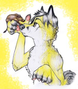 Rating: Safe Score: 0 Tags: 2009 5_fingers anthro black_body black_fur black_hair black_nose brown_body brown_fur canid canine claws degu duo e621 eye_contact feral fingers fox fur hair looking_at_another lycangel male mammal nude octodontid rodent short_hair side_view size_difference white_body white_fur yellow_body yellow_fur User: bunchy7s