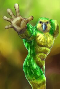 Rating: Safe Score: 0 Tags: abs anthro avian beak biceps biped bird black_eyes e621 feathers green_body gweek kakapo male muscular muscular_anthro muscular_male nude parrot pecs pose solo standing strigopoid yellow_body User: bunchy7s Rating: Safe Score: 0 Tags: abs anthro avian beak biceps biped bird black_eyes e621 feathers green_body gweek kakapo male muscular muscular_anthro muscular_male nude parrot pecs pose solo standing strigopoid yellow_body User: bunchy7s