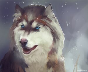 Rating: Safe Score: 0 Tags: 2011 ambiguous_gender canid canine canis detailed detailed_background domestic_dog e621 feral husky mammal nordic_sled_dog outside realistic snow solo spitz vagabondbastard User: bunchy7s Rating: Safe Score: 0 Tags: 2011 ambiguous_gender canid canine canis detailed detailed_background domestic_dog e621 feral husky mammal nordic_sled_dog outside realistic snow solo spitz vagabondbastard User: bunchy7s