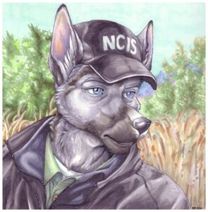 Rating: Safe Score: 0 Tags: 2011 anthro baseball_cap black_nose blue_eyes border canid canine canis clothed clothing cockiestspaniel day domestic_dog e621 fur grey_body grey_fur hat headgear headwear jacket leroy_jethro_gibbs male mammal nature ncis outside shirt sky solo topwear User: bunchy7s