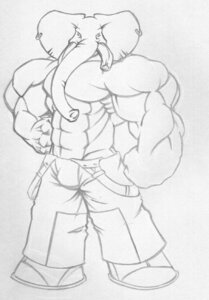 Rating: Safe Score: 0 Tags: abs anthro big_muscles biped e621 ear_piercing elephant elephantid huge_muscles hyper hyper_muscles looking_at_viewer male mammal monochrome muscular muscular_anthro muscular_male piercing proboscidean proboscis_(anatomy) sketch solo standing tkc2021 trunk_(anatomy) tusks User: bunchy7s