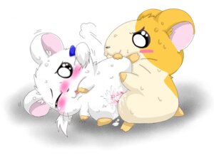 Rating: Explicit Score: 0 Tags: bijou_(hamtaro) blush bodily_fluids clitoris cricetid cum duo e621 erection female female_penetrated feral feral_on_feral genital_fluids genitals hamster hamtaro hamtaro_(series) male male/female male_penetrating male_penetrating_female mammal penetration penile penile_penetration penis penis_in_vagina rodent sex suvaru tears vaginal vaginal_penetration vulva User: bunchy7s Rating: Explicit Score: 0 Tags: bijou_(hamtaro) blush bodily_fluids clitoris cricetid cum duo e621 erection female female_penetrated feral feral_on_feral genital_fluids genitals hamster hamtaro hamtaro_(series) male male/female male_penetrating male_penetrating_female mammal penetration penile penile_penetration penis penis_in_vagina rodent sex suvaru tears vaginal vaginal_penetration vulva User: bunchy7s