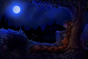 Rating: Safe Score: 0 Tags: anthro brown_hair clothing dark_theme e621 felid feline female flower hair hi_res leopardus maia_(neko-maya) mammal margay moon neotheta night outside plant purple_eyes rose_(flower) sky solo star starry_sky tail tree User: bunchy7s