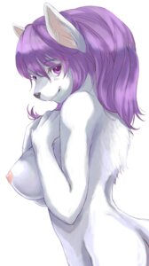 Rating: Questionable Score: 0 Tags: anthro breasts canid canine canis domestic_dog e621 female kogarah legend_of_mana mammal mana_(series) nipples sierra_(mana) solo square_enix User: bunchy7s Rating: Questionable Score: 0 Tags: anthro breasts canid canine canis domestic_dog e621 female kogarah legend_of_mana mammal mana_(series) nipples sierra_(mana) solo square_enix User: bunchy7s