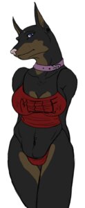 Rating: Questionable Score: 0 Tags: anthro biped blue_eyes breasts canid canine canis clothed clothing collar crys dobermann domestic_dog e621 ear_piercing female hands_behind_back humanoid_pointy_ears looking_at_viewer mammal mature_anthro mature_female navel navel_piercing piercing pinscher pointy_ears sarah_(crys) shirt skimpy slightly_chubby solo standing tank_top thong topwear underwear User: bunchy7s