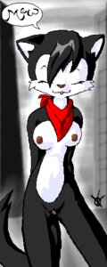 Rating: Explicit Score: 0 Tags: anthro archie_comics domestic_cat feline female furry hershey_the_cat rule34 sega sonic_(series) sonic_the_hedgehog_(archie) sonic_the_hedgehog_(comics) sonic_the_hedgehog_(series) straight_hair tagme User: bunchy7s