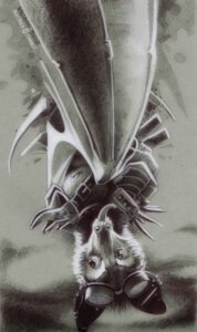 Rating: Safe Score: 0 Tags: 2006 anthro bat bat_wings cross-hatching dangling e621 ear_piercing eyewear eyewear_on_head goggles goggles_on_head greyscale hatching_(art) industrial_piercing kurtbatz looking_away male mammal membrane_(anatomy) membranous_wings monochrome pen_(artwork) piercing shaded simple_background skadjer solo tongue tongue_out traditional_media_(artwork) upside_down winged_arms wings User: bunchy7s