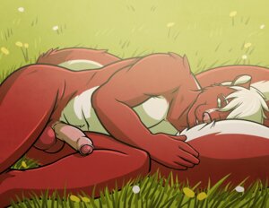 Rating: Explicit Score: 0 Tags: 2014 anthro balls biped clamcrusher e621 erection foreskin fur genitals grass hair humanoid_genitalia humanoid_penis looking_at_viewer lying male mammal mephitid multicolored_body multicolored_fur nude on_side outside partially_retracted_foreskin penis pink_nose plant red_body red_fur short_hair skunk solo two_tone_body two_tone_fur white_body white_fur white_hair User: bunchy7s