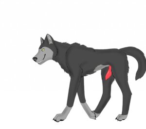 Rating: Explicit Score: 0 Tags: airisu canid canine canis e621 erection feral genitals knot male malwolf mammal penis quadruped simple_background solo tail white_background wolf yellow_eyes User: bunchy7s