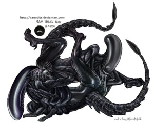 Rating: Explicit Score: 0 Tags: 2004 69_position alien alien_(franchise) alienmalk bodily_fluids cum cunnilingus digital_media_(artwork) drooling duo e621 english_text eyeless female female/female genital_fluids genitals messy oral penetration saliva sex simple_background spread_legs spreading tail text tongue url vaginal vaginal_fluids vaginal_penetration vulva xenobite xenomorph User: bunchy7s