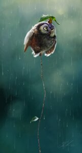 Rating: Safe Score: 0 Tags: ailah ambiguous_gender avian balancing bird blurred_background detailed digital_media_(artwork) duo e621 feral hi_res holding_leaf holding_object leaf leaf_umbrella mammal mouse murid murine outside owl predator/prey raining rodent sheltering toony User: bunchy7s Rating: Safe Score: 0 Tags: ailah ambiguous_gender avian balancing bird blurred_background detailed digital_media_(artwork) duo e621 feral hi_res holding_leaf holding_object leaf leaf_umbrella mammal mouse murid murine outside owl predator/prey raining rodent sheltering toony User: bunchy7s
