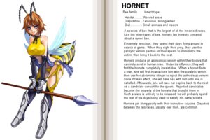 Rating: Questionable Score: 0 Tags: 3:2 animal_humanoid armor arthropod arthropod_humanoid big_breasts breasts e621 english_text female hard_translated hornet_humanoid humanoid hymenopteran hymenopteran_humanoid insect insect_humanoid insect_wings kenkou_cross melee_weapon monster monster_girl_(genre) monster_girl_profile non-mammal_breasts polearm solo spear text the_more_you_know third-party_edit translated translation_edit warrior wasp_humanoid weapon wings User: bunchy7s
