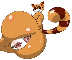 Rating: Explicit Score: 0 Tags: anthro anus big_anus big_butt biped black_eyes blush breasts brown_body brown_fur brown_nose butt e621 eyelashes female fur genitals glistening happy lollipopcon looking_at_viewer looking_back lying mammal nude on_side orange_body orange_fur presenting presenting_hindquarters presenting_vulva procyonid raccoon shadow side_boob simple_background smile solo vulva white_background white_body white_fur User: bunchy7s