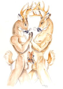 Rating: Explicit Score: 0 Tags: 2013 anthro antlers balls breath deer duo e621 erection eye_contact frottage genitals heather_bruton horn looking_at_another male male/male mammal nipples nude penile penis penises_touching sex standing tail User: bunchy7s Rating: Explicit Score: 0 Tags: 2013 anthro antlers balls breath deer duo e621 erection eye_contact frottage genitals heather_bruton horn looking_at_another male male/male mammal nipples nude penile penis penises_touching sex standing tail User: bunchy7s