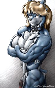 Rating: Explicit Score: 0 Tags: anthro balls blonde_hair brown_eyes canid canine collar digital_media_(artwork) doggie_kruger e621 flaccid fur genitals hair hi_res humanoid_genitalia humanoid_penis karabiner looking_at_viewer male mammal muscular muscular_anthro muscular_male nipples nude penis power_rangers simple_background solo User: bunchy7s