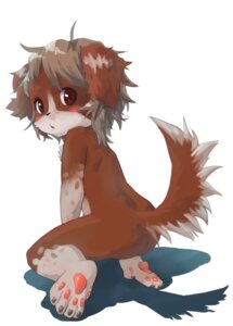 Rating: Safe Score: 0 Tags: anthro biped brown_body brown_eyes brown_fur canid canine canis chest_tuft domestic_dog e621 female fur grey_hair hair kemono kneeling looking_at_viewer looking_back mammal pawpads paws red_pawpads short_hair solo tail tuft yanamosuda User: bunchy7s