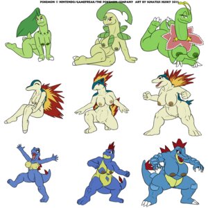 Rating: Explicit Score: 0 Tags: 1:1 2011 anthro anthrofied bayleef big_breasts blue_body blue_skin breasts chikorita crocodilian croconaw cyndaquil dinosaur e621 elemental_creature female feraligatr fire flora_fauna generation_2_pokemon genitals huge_breasts ignatius_husky mammal meganium multiple_images nintendo nipples non-mammal_breasts non-mammal_nipples nude plant pokemon pokemon_(species) pokemorph prehistoric_species quilava reptile saurischian sauropod sauropodomorph scalie simple_background solo starter_trio tail totodile typhlosion vulva white_background User: bunchy7s
