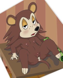 Rating: Explicit Score: 0 Tags: animal_crossing anthro anus female flat_chest furry hedgehog nintendo nipples open_mouth pussy rule34 sable_able special_k straight_hair User: bunchy7s Rating: Explicit Score: 0 Tags: animal_crossing anthro anus female flat_chest furry hedgehog nintendo nipples open_mouth pussy rule34 sable_able special_k straight_hair User: bunchy7s