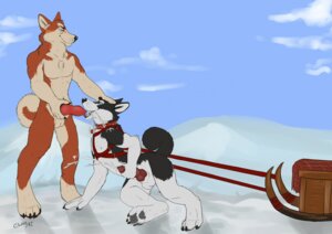 Rating: Explicit Score: 0 Tags: 4_toes animal_genitalia animal_penis anthro balls big_penis bodily_fluids canid canine canine_genitalia canine_penis canis claws cloud collar coway cum cum_in_mouth cum_inside cumshot desolate digitigrade domestic_dog duo e621 ejaculation erection feet fellatio fur genital_fluids genitals harness hindpaw husky knot male male/male male_penetrated male_penetrating male_penetrating_male mammal masturbation messy nordic_sled_dog nude oral orgasm outside pawpads paws penetration penile penile_masturbation penis sex sky sled smile snow soles spitz standing toes User: bunchy7s Rating: Explicit Score: 0 Tags: 4_toes animal_genitalia animal_penis anthro balls big_penis bodily_fluids canid canine canine_genitalia canine_penis canis claws cloud collar coway cum cum_in_mouth cum_inside cumshot desolate digitigrade domestic_dog duo e621 ejaculation erection feet fellatio fur genital_fluids genitals harness hindpaw husky knot male male/male male_penetrated male_penetrating male_penetrating_male mammal masturbation messy nordic_sled_dog nude oral orgasm outside pawpads paws penetration penile penile_masturbation penis sex sky sled smile snow soles spitz standing toes User: bunchy7s