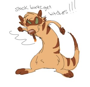 Rating: Safe Score: 0 Tags: 2011 archived_source e621 english_text frindle herpestid male mammal meerkat simple_background smashmeerkat smoke solo tail text white_background User: bunchy7s