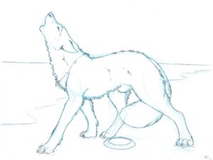 Rating: Explicit Score: 0 Tags: 2012 after_transformation all_fours animal_genitalia animal_noises beach bottomwear butt canid canine canis clothed clothing digitigrade e621 feral frisbee fully_sheathed fur genitals howl jewelry male mammal monochrome necklace outside pants paws quadruped sabretoothed_ermine seaside sheath sketch snout solo tail teeth topless transformation wolf User: bunchy7s