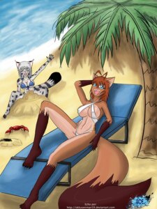 Rating: Questionable Score: 0 Tags: ambient_arthropod ambient_crab ambient_crustacean ambient_sealife anthro beach bikini black_tail_tip blue_bikini blue_clothing blue_eyes blue_swimwear brown_body brown_feet brown_fur brown_hair brown_hands brown_tail_tip canid canine claws clothed clothing criss-cross_bikini detailed_background dipstick_tail duo e621 feet female finger_claws fox front-tie_bikini fur gloves_(marking) grey_body grey_fur grey_hair hair hi_res high-angle_view kemono leg_markings mammal markings okkusenman39 open_mouth outside palm_tree plant pointy_ears prick_ears sand seaside skimpy socks_(marking) swimwear tail tail_markings toe_claws tree triangle_bikini two-piece_swimsuit white_bikini white_clothing white_swimwear wood User: bunchy7s