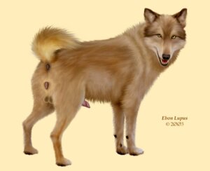 Rating: Explicit Score: 0 Tags: 2003 anatomically_correct anatomically_correct_anus anatomically_correct_genitalia anatomically_correct_vulva animal_genitalia animal_penis animal_vulva anus artist_name balls canid canine canine_genitalia canine_penis canine_vulva dated e621 ebon_lupus english_text erection feral genitals herm herm_feral intersex intersex_feral looking_at_viewer mammal penis photorealism quadruped raised_tail realistic solo standing tail tail_anus text vulva User: bunchy7s Rating: Explicit Score: 0 Tags: 2003 anatomically_correct anatomically_correct_anus anatomically_correct_genitalia anatomically_correct_vulva animal_genitalia animal_penis animal_vulva anus artist_name balls canid canine canine_genitalia canine_penis canine_vulva dated e621 ebon_lupus english_text erection feral genitals herm herm_feral intersex intersex_feral looking_at_viewer mammal penis photorealism quadruped raised_tail realistic solo standing tail tail_anus text vulva User: bunchy7s