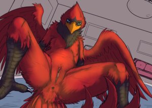 Rating: Explicit Score: 0 Tags: andromorph anthro anus avian avian_feet beak bird blue_eyes cardinal_(bird) e621 feathered_wings feathers genitals intersex looking_at_viewer mismatched_sexual_dimorphism northern_cardinal nude nude_andromorph nude_anthro nude_intersex oscine passerine pinup pose red_body red_feathers solo spread_legs spreading syrinoth vulva wings User: bunchy7s