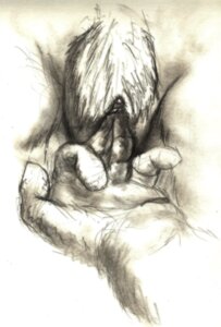 Rating: Explicit Score: 0 Tags: 2011 ambiguous_species anthro clitoris close-up duo e621 female fingering genitals kodayu nude pubes sex sketch vaginal vulva User: bunchy7s Rating: Explicit Score: 0 Tags: 2011 ambiguous_species anthro clitoris close-up duo e621 female fingering genitals kodayu nude pubes sex sketch vaginal vulva User: bunchy7s