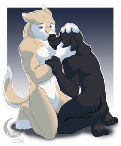 Rating: Questionable Score: 0 Tags: 2008 5:6 anthro black_body black_fur bodily_fluids canid canine crying duo e621 eclipticafusion fur kneeling love male male/male mammal nude romantic romantic_couple sad simple_background tail tears User: bunchy7s