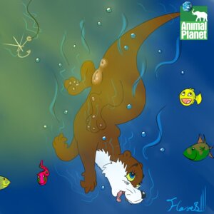 Rating: Explicit Score: 0 Tags: 1:1 animal_planet anus aquatic clitoris digital_media_(artwork) e621 female feral fish flakes genitals group hook mammal mustelid otter plump_labia solo_focus tail tongue toony underwater vulva water User: bunchy7s
