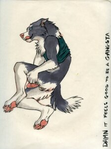 Rating: Explicit Score: 0 Tags: anthro backsack balls border_collie butt canid canine canis collie domestic_dog e621 erection feet genitals herding_dog hindpaw humanoid_genitalia humanoid_penis male mammal pastoral_dog paws penis pose sheepdog solo ssirrus tail tongue User: bunchy7s Rating: Explicit Score: 0 Tags: anthro backsack balls border_collie butt canid canine canis collie domestic_dog e621 erection feet genitals herding_dog hindpaw humanoid_genitalia humanoid_penis male mammal pastoral_dog paws penis pose sheepdog solo ssirrus tail tongue User: bunchy7s